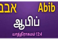 EXODUS-13_compressed_page-0003