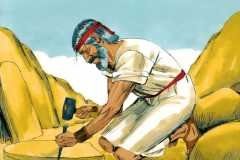 EXODUS-32_page-0025