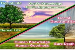 2-GEN-2-ADAM-AND-EVE-1_page-0011