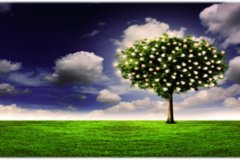 2-GEN-2-ADAM-AND-EVE-1_page-0013