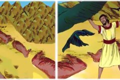 1_Genesis-15_page-0008