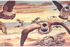 EXODUS-16_page-0009