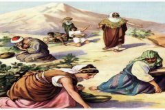 EXODUS-16_page-0022