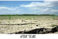 GENESIS-41_compressed_page-0029