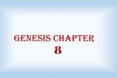 Genesis 8