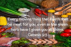 Genesis-9_page-0003