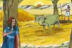 The-story-of-Ruth-Part-3_00003